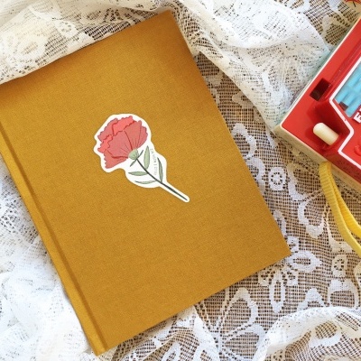 Livro amarelo com autocolante de rosa e câmara Fisher-Price vermelha