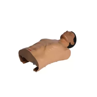 Mannequim torso masculino bege com cabelo preto sobre fundo branco