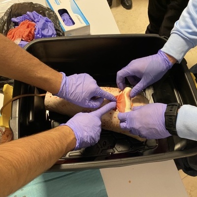 mãos com luvas roxas a manusear um centro de treino anatómico num contentor preto