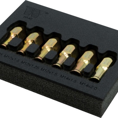 Conjunto de seis porcas douradas em recipiente de espuma preta