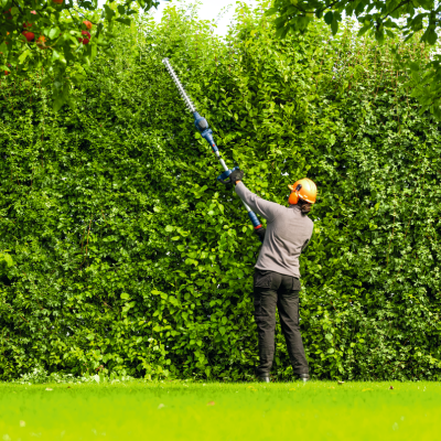 Pessoa a aparar sebe verde densa num jardim com aparador de sebes