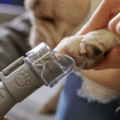 Dispositivo cinza a cortar unhas de cão com acessório transparente