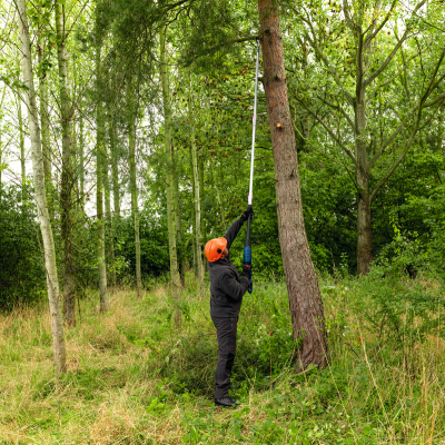 Pessoa com roupa preta e capacete laranja usa ferramenta de corte telescópica para podar árvore num bosque