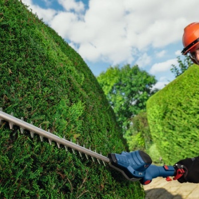 Homem aparando sebe com tesoura elétrica num jardim