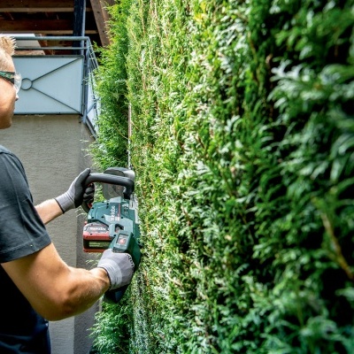 Pessoa a aparar sebe verde com aparador de sebes elétrico