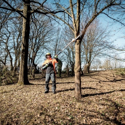 Homem com equipamento de proteção a usar motosserra para cortar árvore ao ar livre