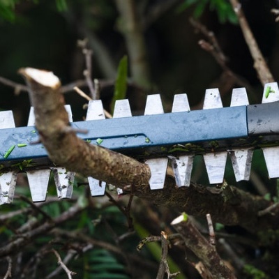Ferramenta de corte para árvores com lâmina metálica entre galhos