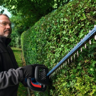 Homem a cortar sebe com aparador em jardim verde