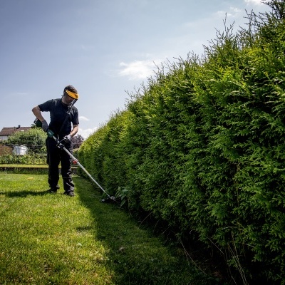 Homem a aparar sebes verdes densas no jardim com corta-relva