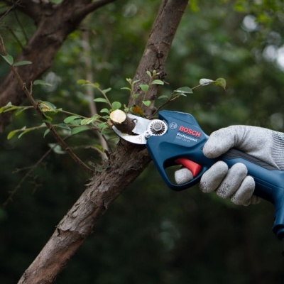 Tesoura elétrica Bosch azul cortando ramo de árvore