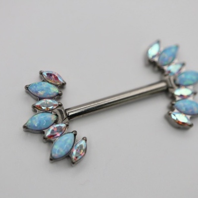 Brinco de titânio com pedras azuis em fundo branco