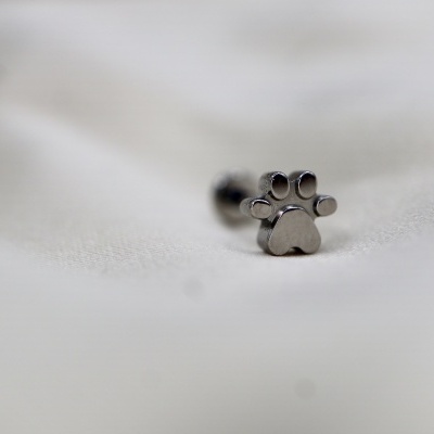 Brinco pequeno prateado em forma de pata de animal sobre tecido branco