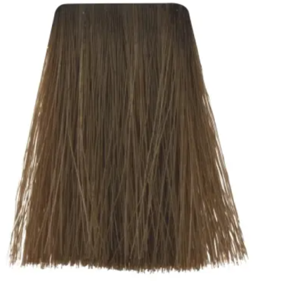 Mecha de cabelo castanho liso com pontas retas