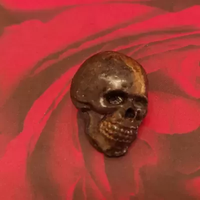 Escultura de caveira de metal em fundo com padrão de rosa vermelha