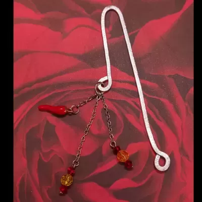 Marcador&#x20;Livro&#x20;-&#x20;Silver&#x20;spicy