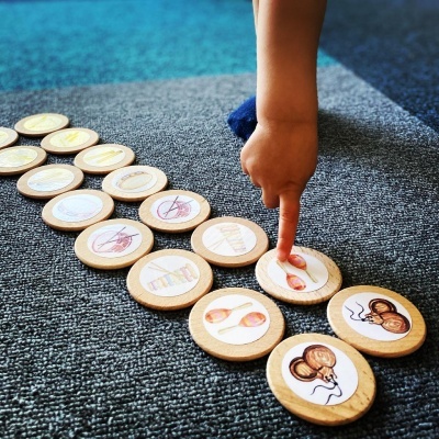 Discos de madeira com imagens de insetos e animais sobre tapete cinzento e dedo de criança a tocar