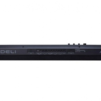 Teclado elétrico preto MEDELI AKX10 visto de trás com conexões e botões