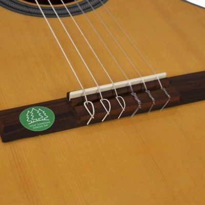 Guitarra acústica de madeira clara com ponte escura e autocolante verde