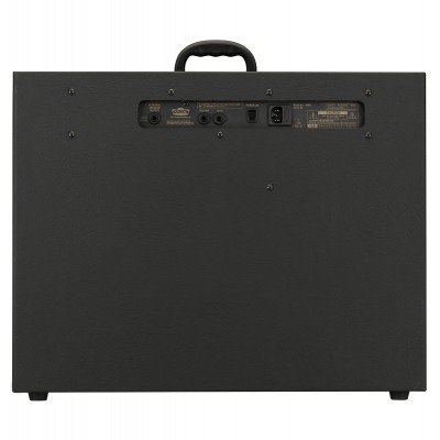 Amplificador preto com alça e painel traseiro com conexões e etiquetas.