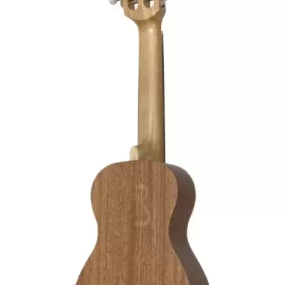 Ukulele em madeira visto de trás sobre fundo branco