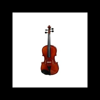 Violino de madeira castanho brilhante com cordas e partes pretas