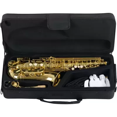 Estojo aberto com saxofone dourado e acessórios