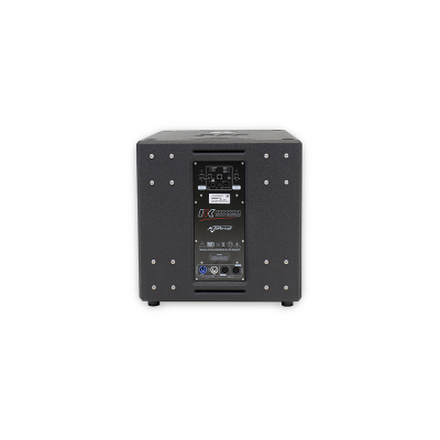 Subwoofer preto com painel traseiro com conectores e controles