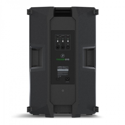 Coluna de som preta retangular com entradas áudio e inscrição THUMP 215