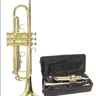 Trompete dourado com estojo preto aberto