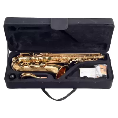 Saxofone dourado em estojo preto aberto com acessórios