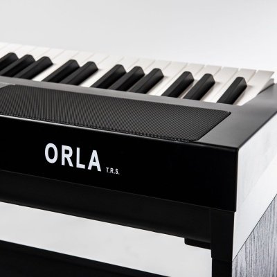 Teclado musical ORLA T.R.S. preto e branco com 61 teclas