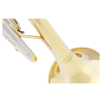 Trompete dourado em fundo branco