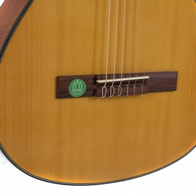 Violão clássico de madeira clara e escura com etiqueta verde na ponte