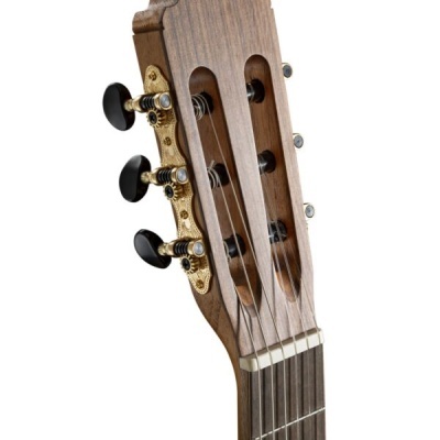 Cabeça de guitarra clássica de madeira com cravelhas douradas e botões pretos