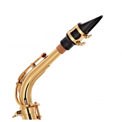 Bocal e pescoço de saxofone dourado com palheta preta