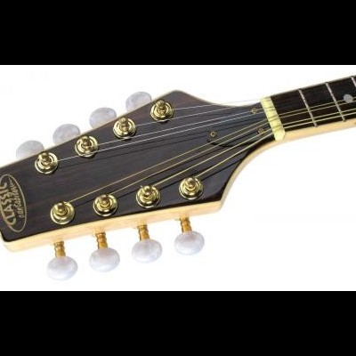 Cabeça de guitarra acústica em madeira escura com tarraxas douradas e botões brancos