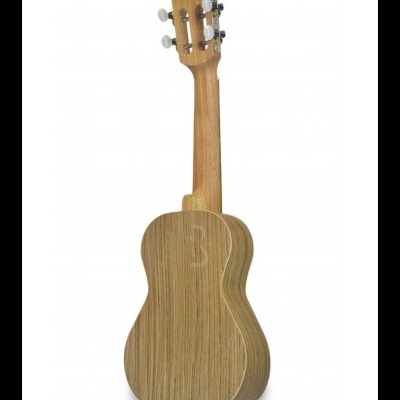 Ukulele de madeira clara visto de costas