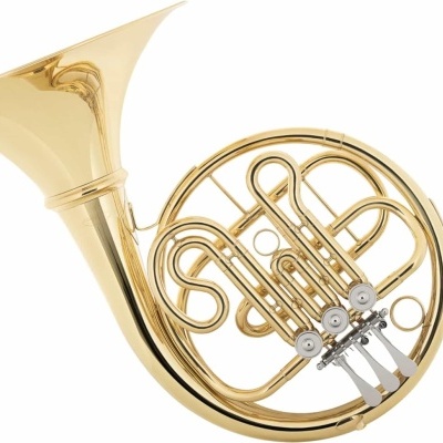 Trompa dourada com válvulas prateadas