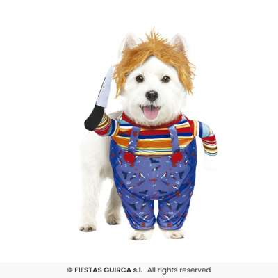 Cão vestido com fato colorido e peruca castanha a segurar faca de brinquedo