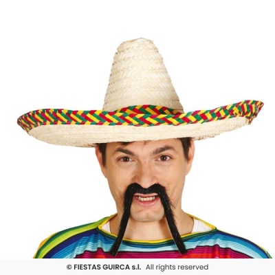 Homem com chapéu mexicano, bigode falso e camisa colorida