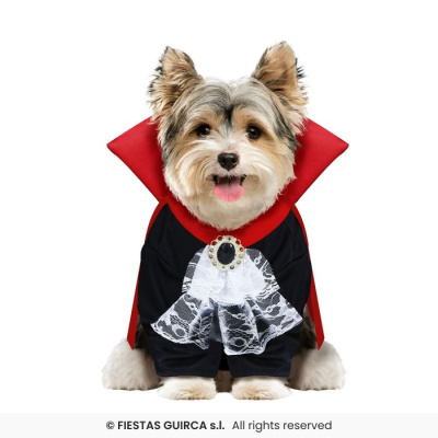 Cão fantasiado de vampiro com capa preta e vermelha