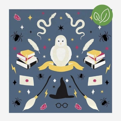 Ilustração com coruja, cobras, livros, aranhas, cartas, varinhas, chapéu de bruxo e estrelas num fundo azul.