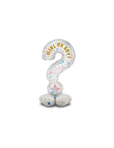 Balão de ponto de interrogação branco com texto GIRL OR BOY?