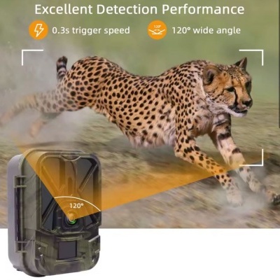 Câmara de deteção com texto em inglês e imagem de guepardo