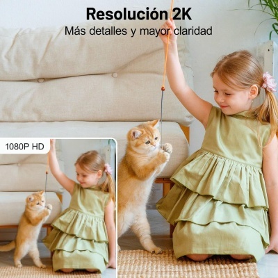 Menina a brincar com um gato ruivo com brinquedo junto a um sofá bege.