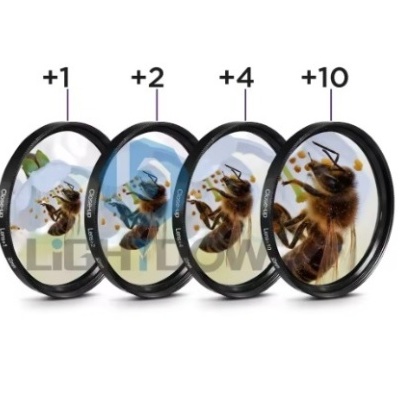 Filtros fotográficos redondos com imagens ampliadas de abelhas e números de difração