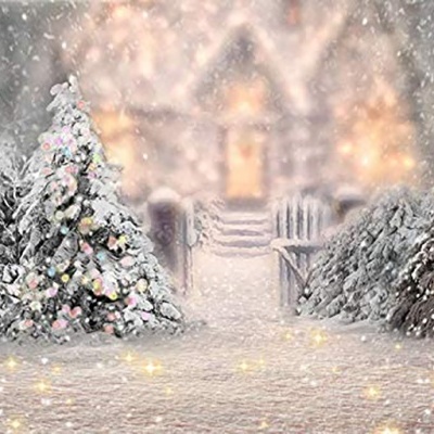 Árvores de Natal nevadas com luzes coloridas em frente a uma casa iluminada e nevada