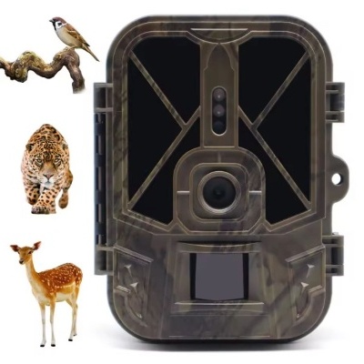 Câmara de vigilância camuflada para natureza com imagens de animais