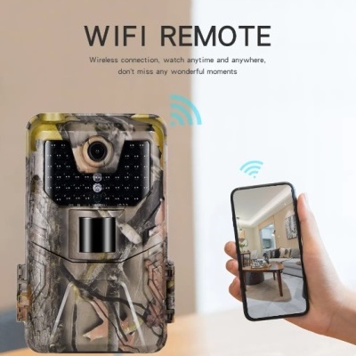 Câmara de caça camuflada e smartphone com imagem ao vivo