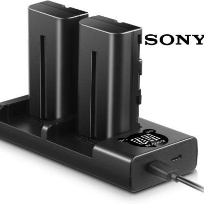 Carregador duplo preto para baterias Sony com cabo USB